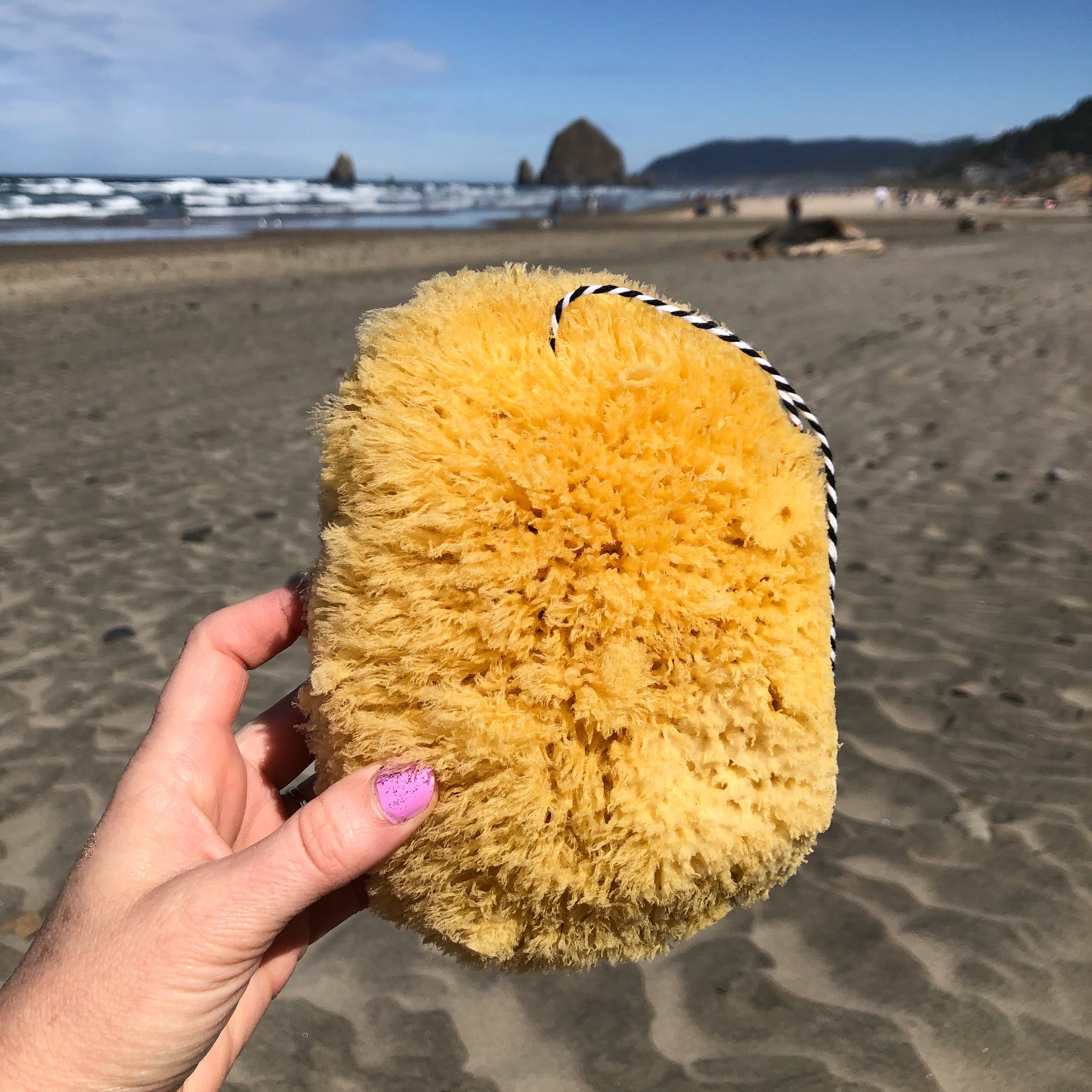 Giant Natural Bath Sponge