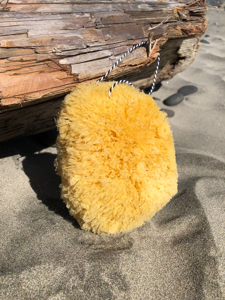 Giant Natural Bath Sponge