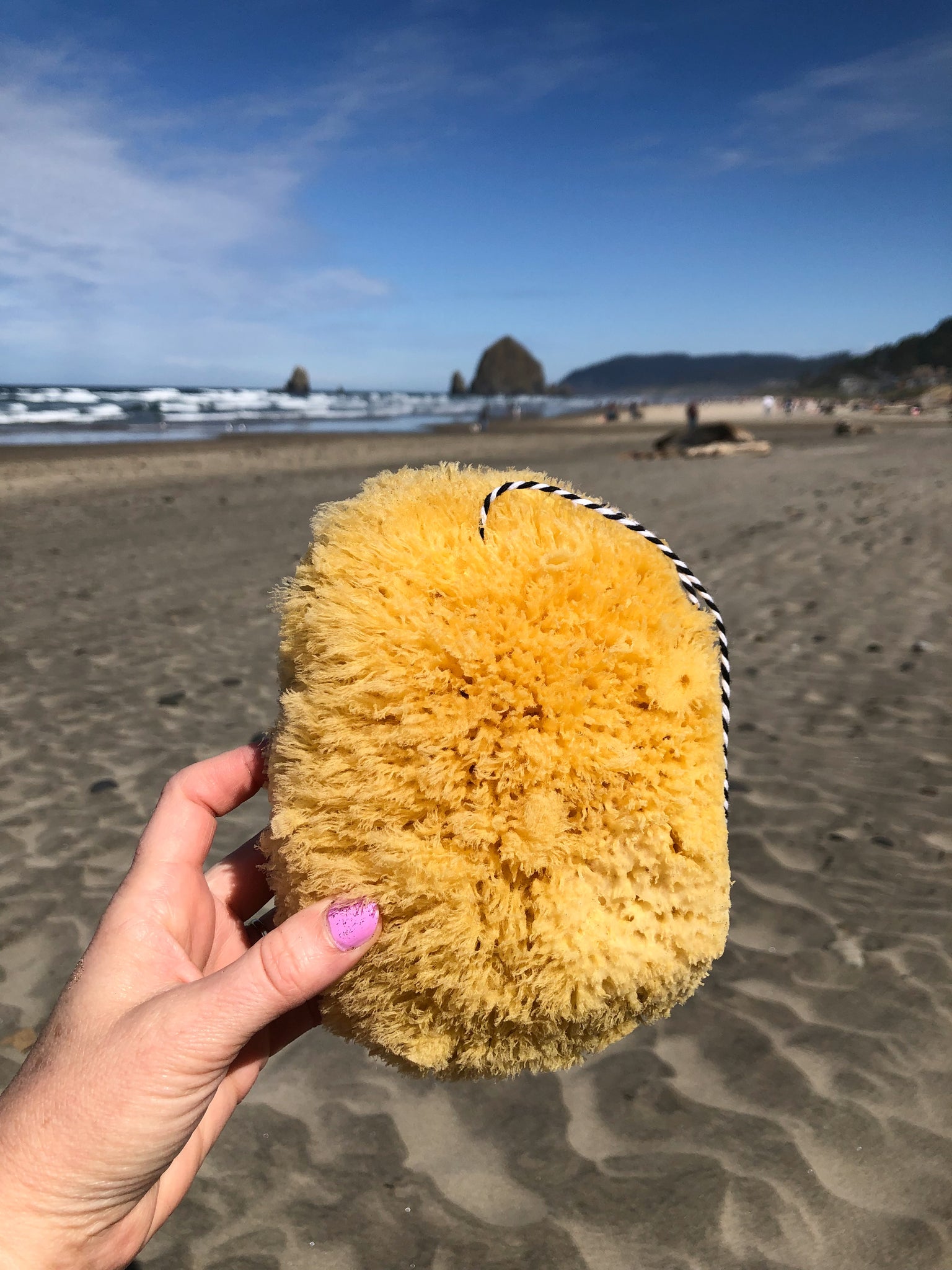 Giant Natural Bath Sponge